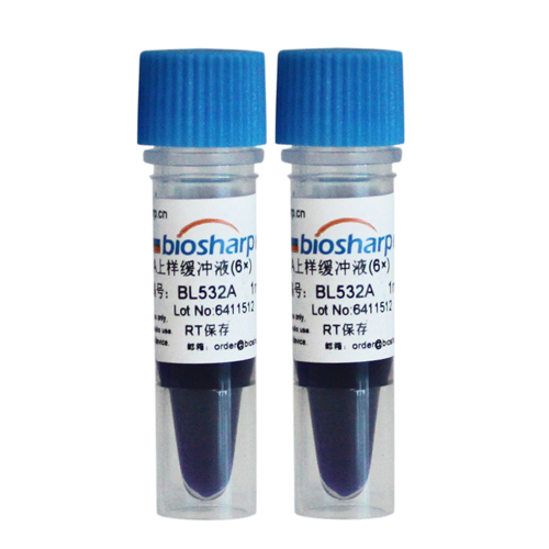 DNA上样缓冲液(6X) biosharp实验室专用